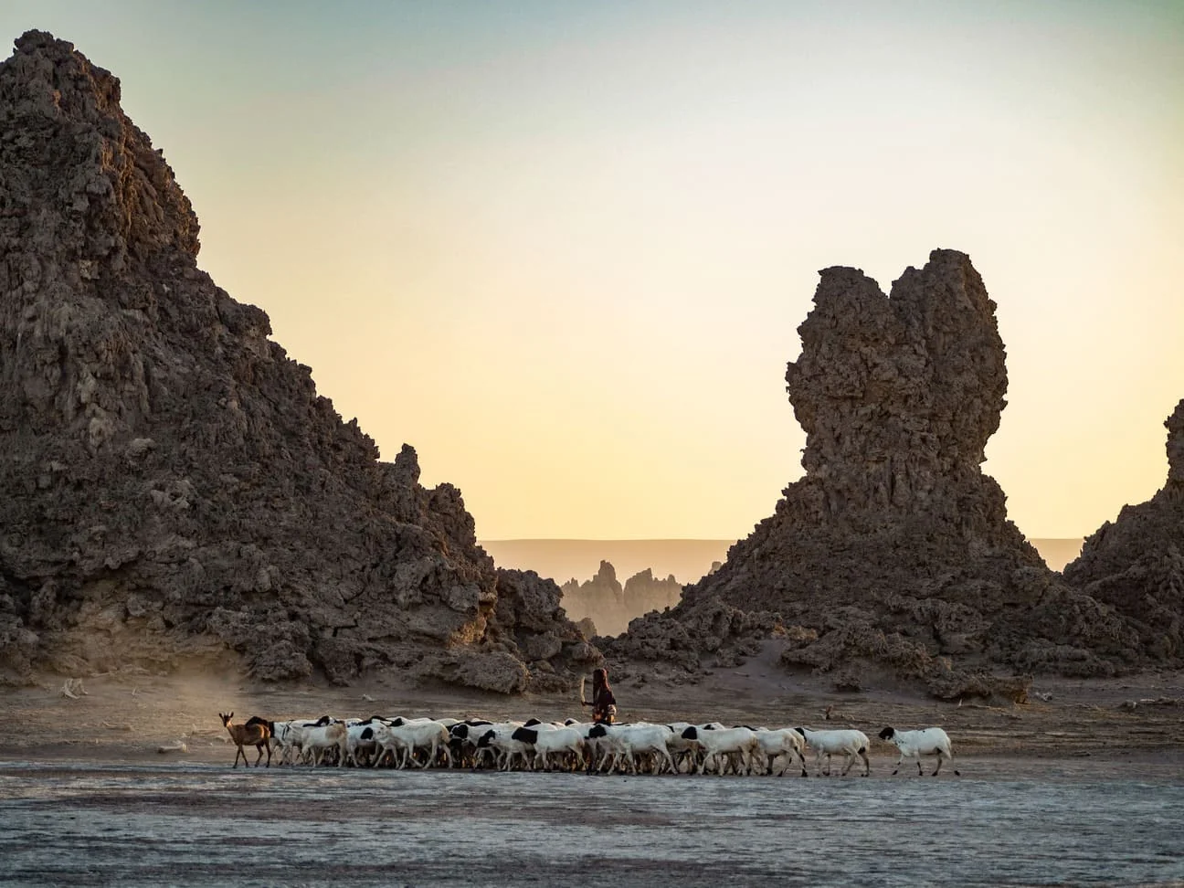 Seasonal Guide to Djibouti