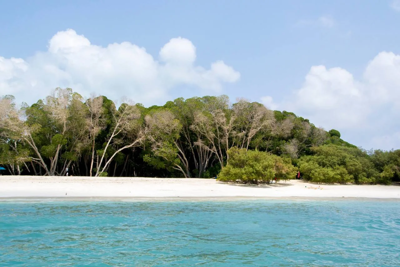 Top 5 Must-Visit Places in Djibouti